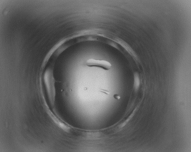 X0000083601196200702091212