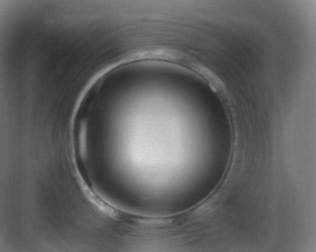 X0000083601200200702091211