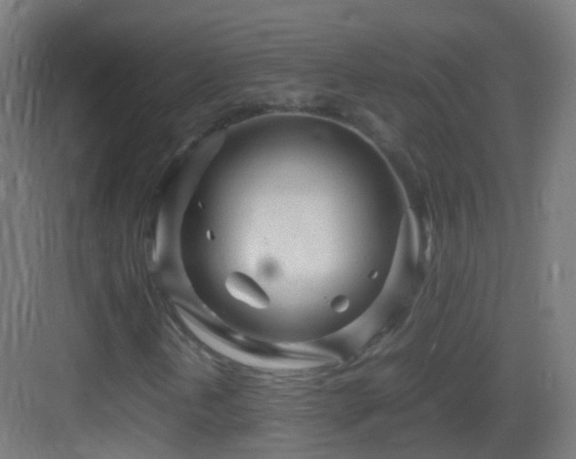 X0000083601202200702091211