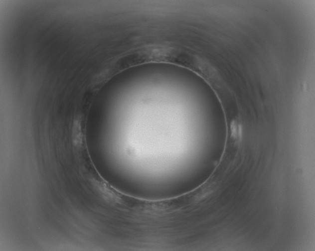 X0000083601203200702091211