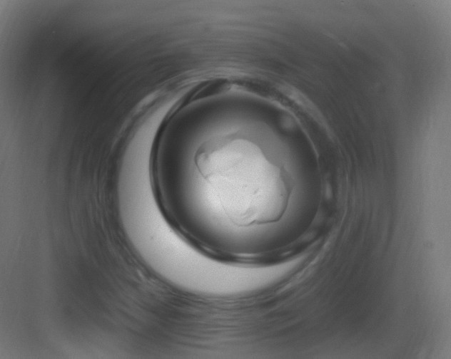 X0000083601210200702091211
