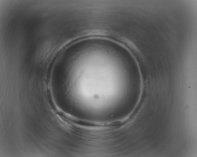 X0000083601212200702091211