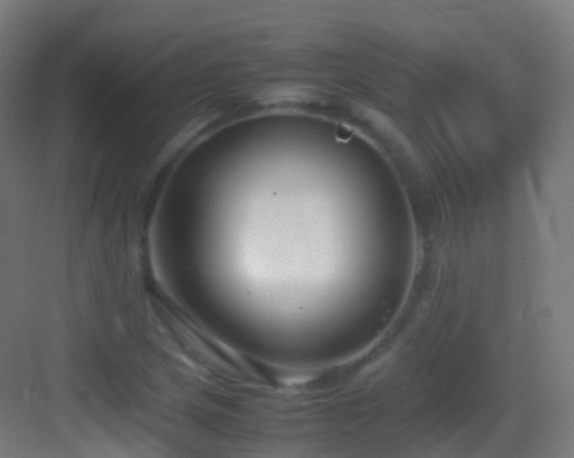 X0000083601217200702091211