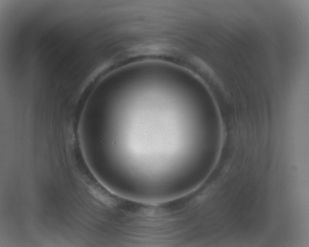 X0000083601218200702091211
