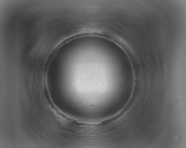 X0000083601220200702091211