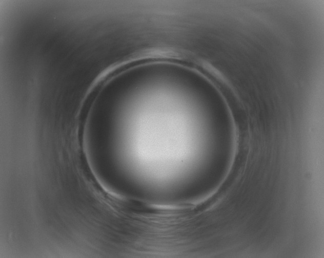 X0000083601222200702091211