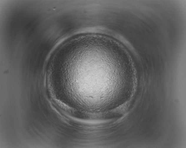 X0000083601224200702091211
