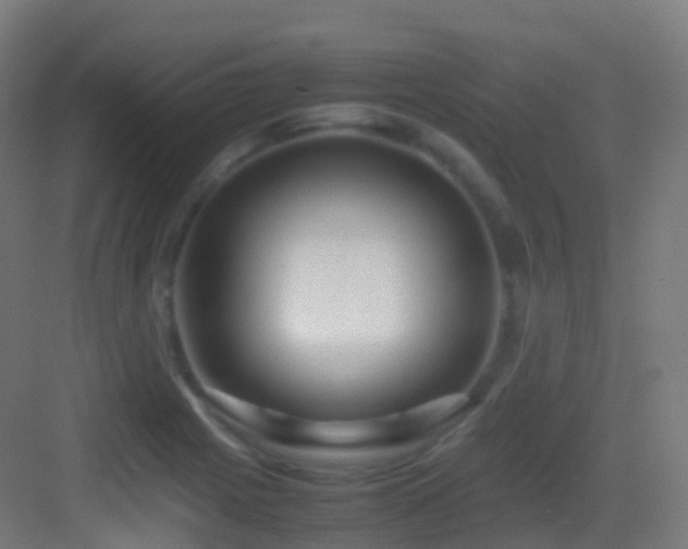X0000083601225200702091211