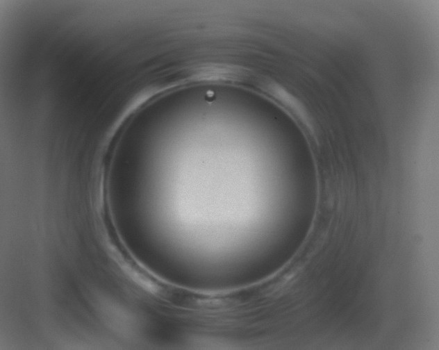 X0000083601227200702091211