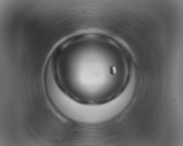 X0000083601230200702091211
