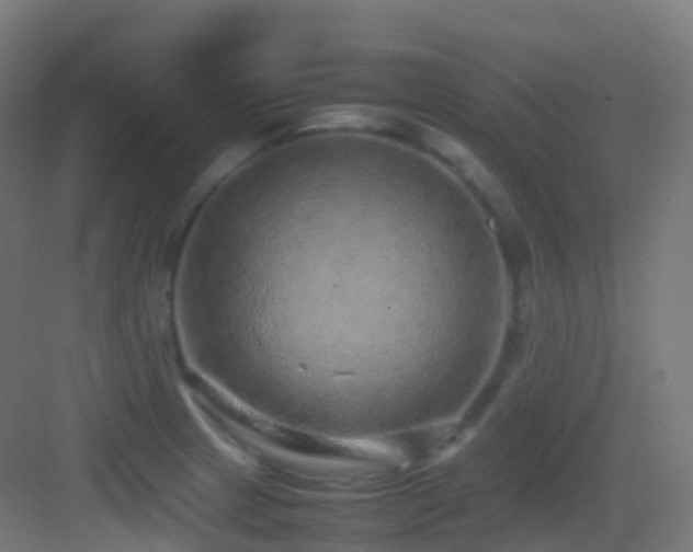 X0000083601233200702091211