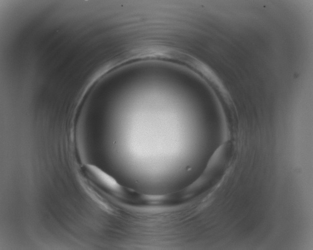 X0000083601234200702091211