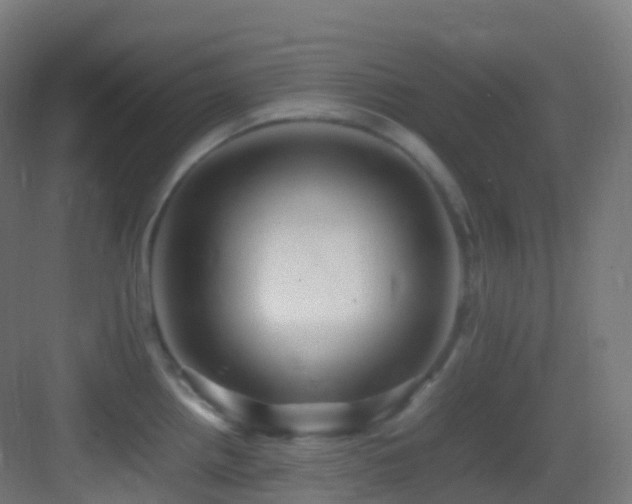 X0000083601242200702091211