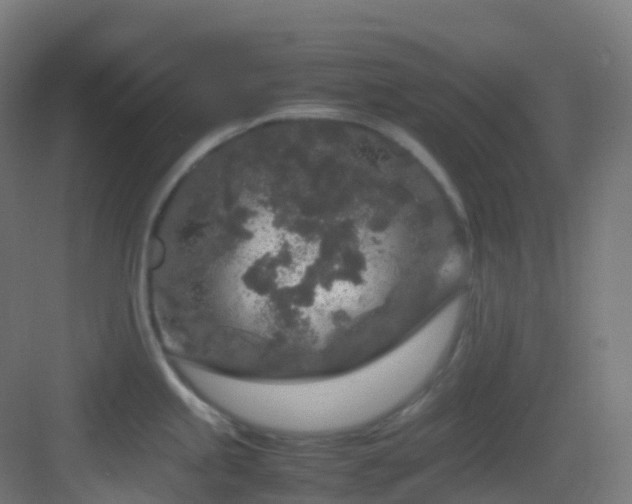 X0000083601245200702091211