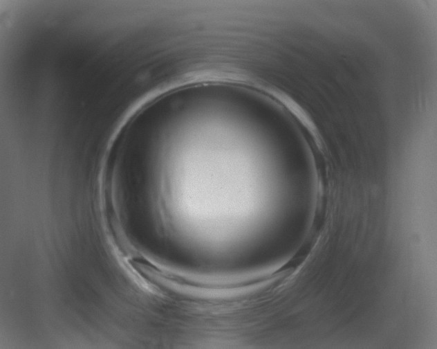X0000083601246200702091211