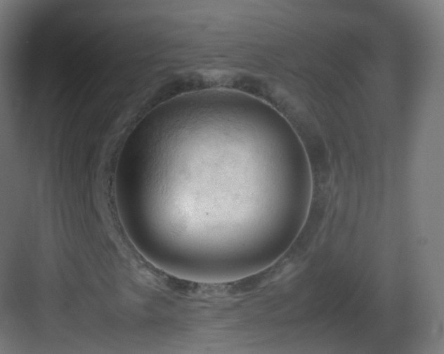 X0000083601249200702091211