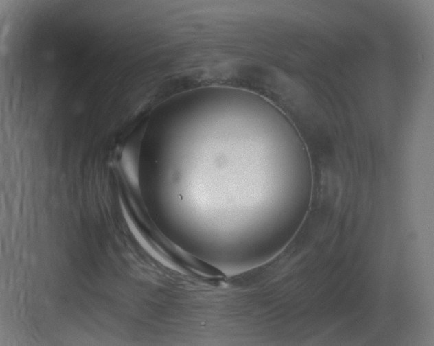 X0000083601250200702091211