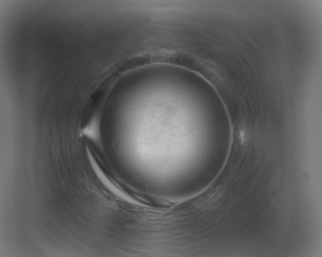 X0000083601252200702091211