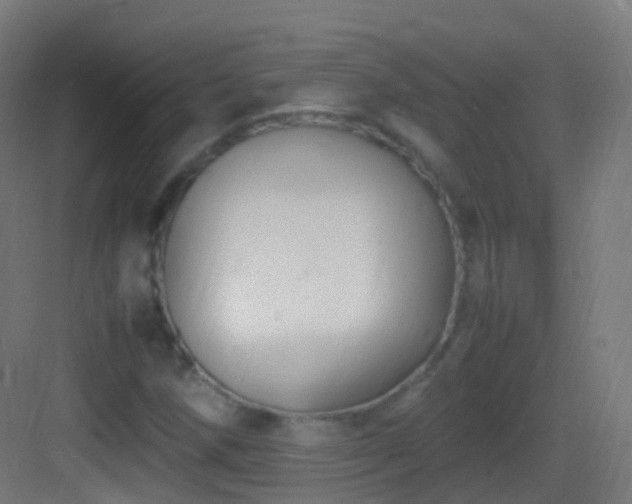 X0000083601258200702091211