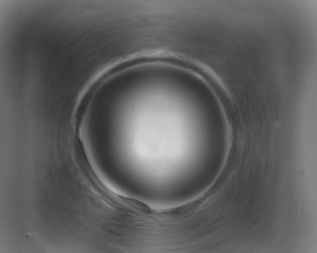 X0000083601270200702091210