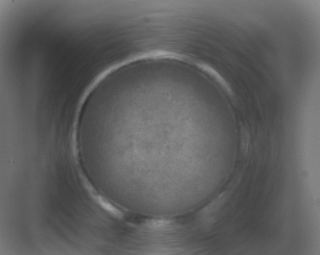 X0000083601278200702091210