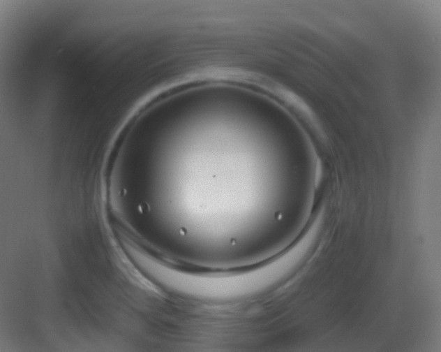 X0000083601280200702091210