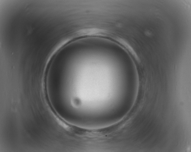 X0000083601285200702091210