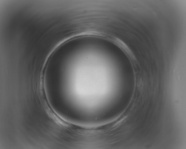 X0000083601292200702091210