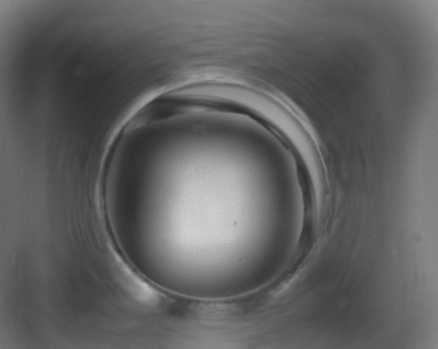 X0000083601293200702091210