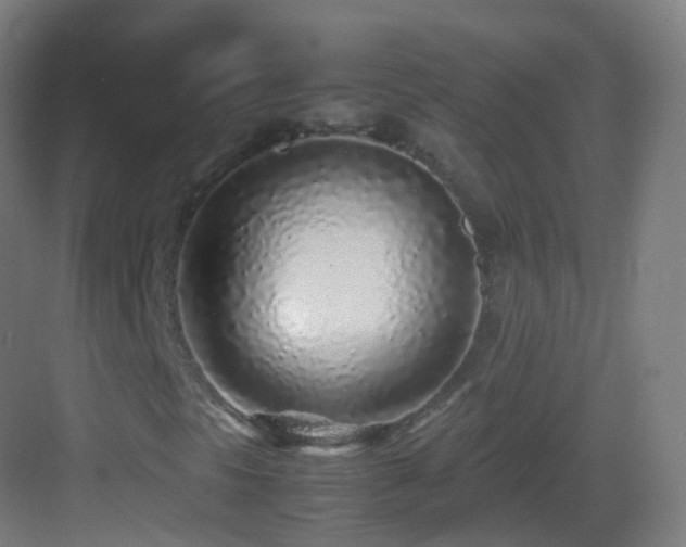 X0000083601297200702091209
