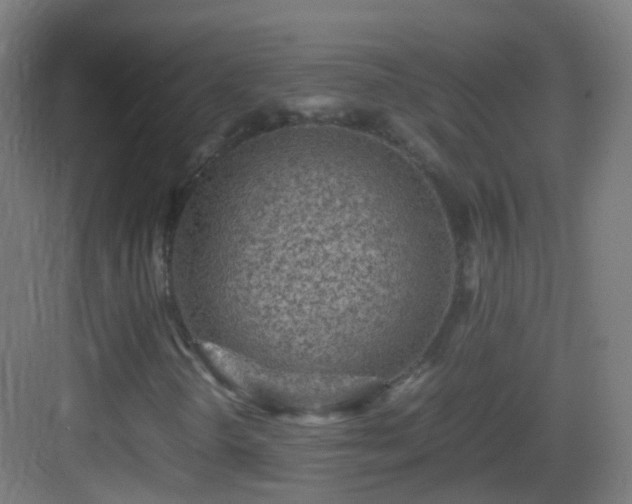 X0000083601298200702091209