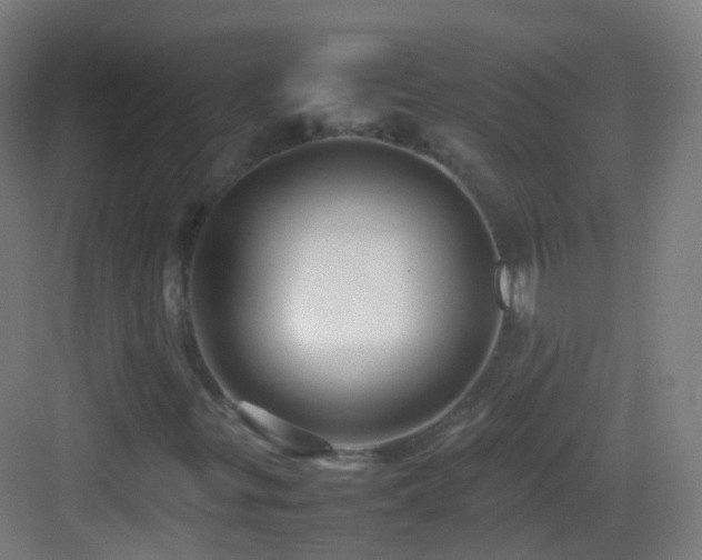 X0000083601299200702091209