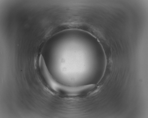 X0000083601300200702091209