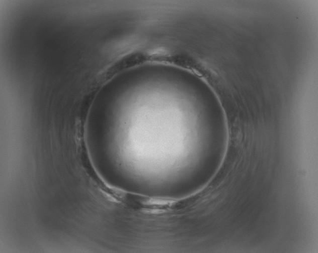 X0000083601301200702091209