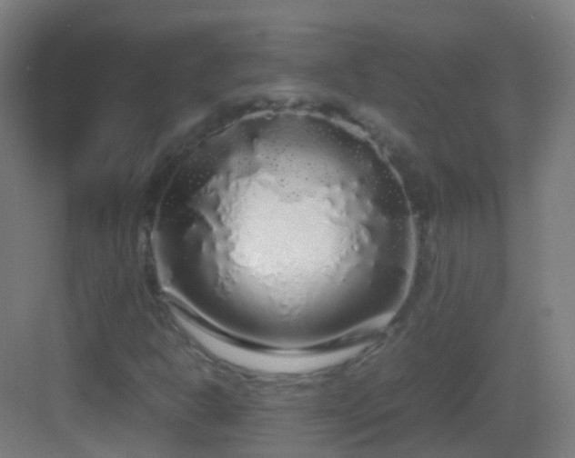 X0000083601302200702091209