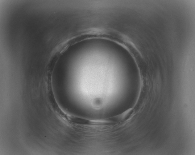 X0000083601304200702091209