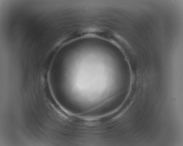X0000083601305200702091209