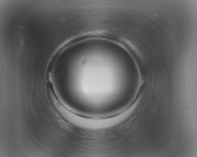 X0000083601308200702091209