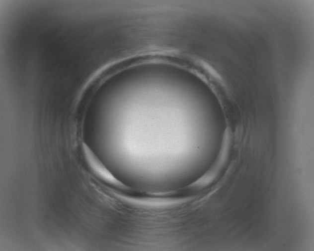 X0000083601310200702091209