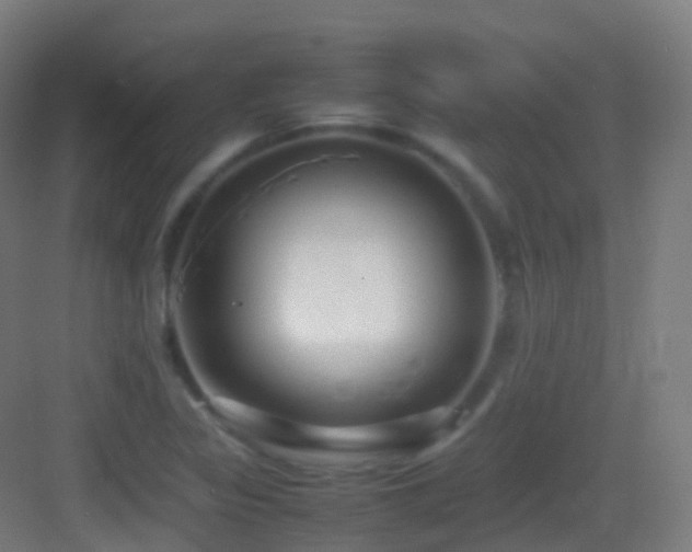 X0000083601317200702091209
