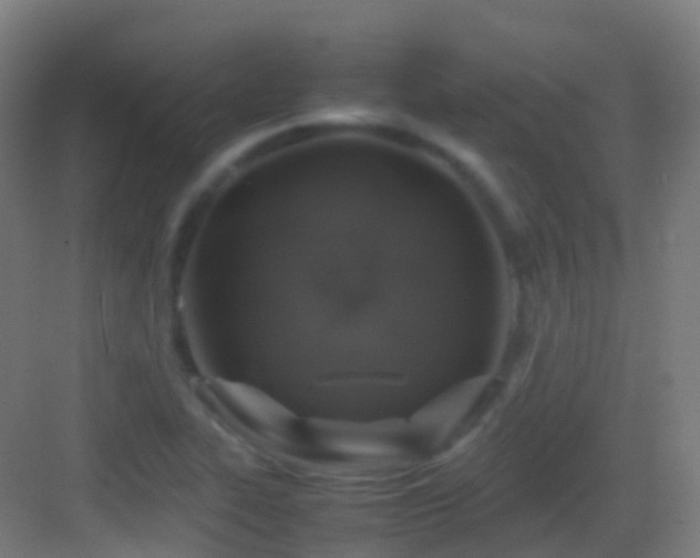 X0000083601319200702091209