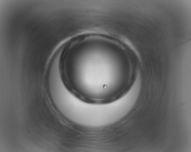 X0000083601320200702091209