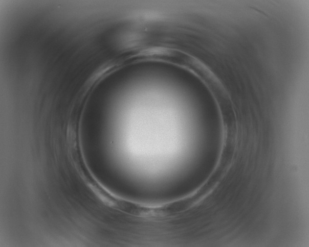 X0000083601321200702091209