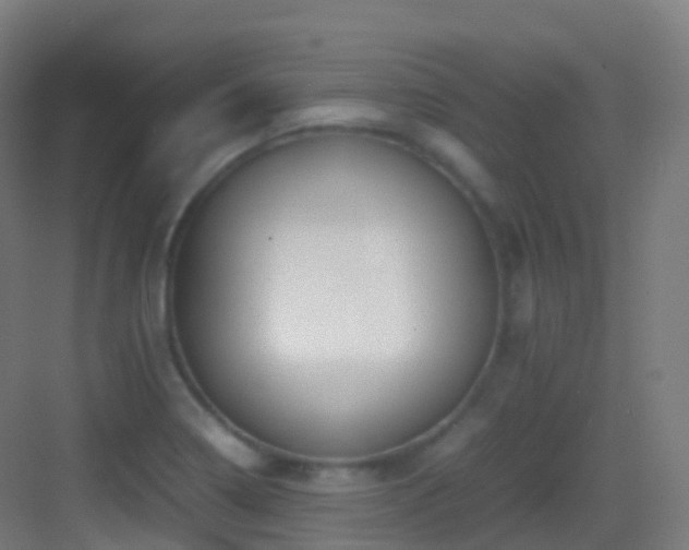 X0000083601322200702091209