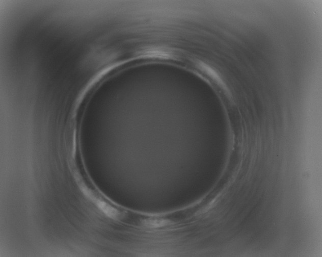 X0000083601323200702091210