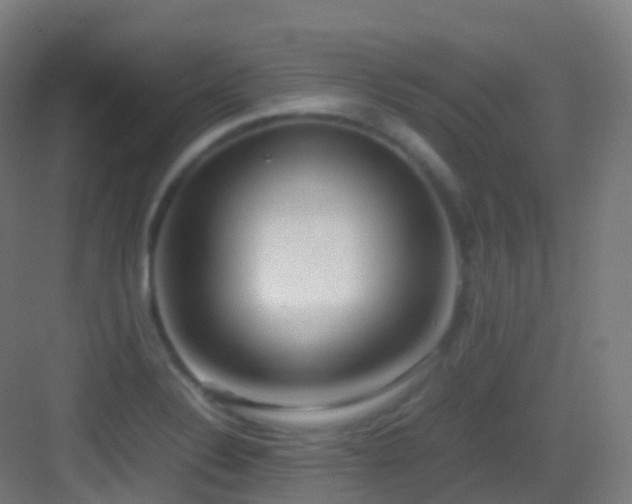 X0000083601324200702091210