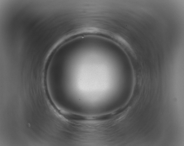 X0000083601326200702091210