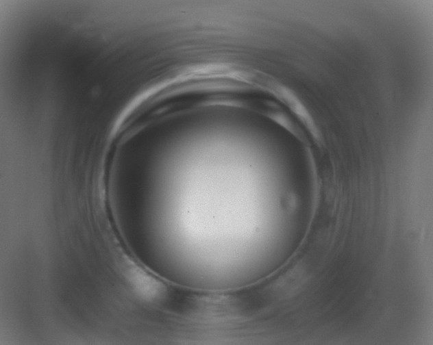 X0000083601328200702091210