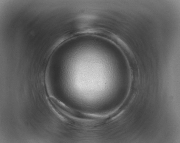 X0000083601329200702091210
