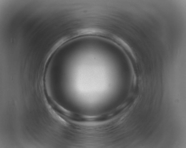 X0000083601330200702091210
